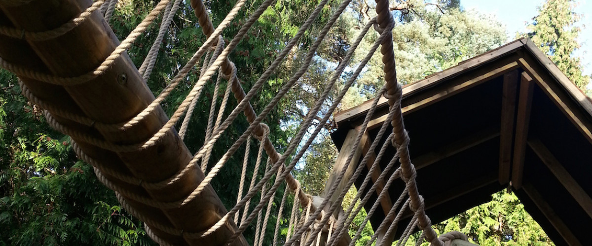 Savannah-2-banner