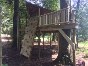 wooden tree platform