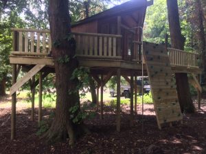 wooden tree platform
