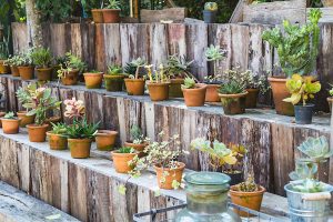 garden lifestyle