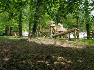 Tree House View from Down the Slope